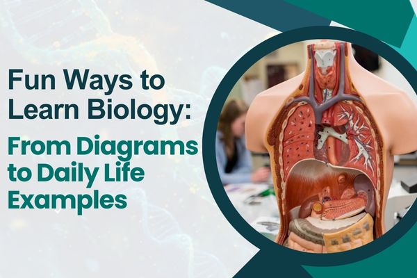 Fun Ways to Learn Biology: From Diagrams to Daily Life Examples