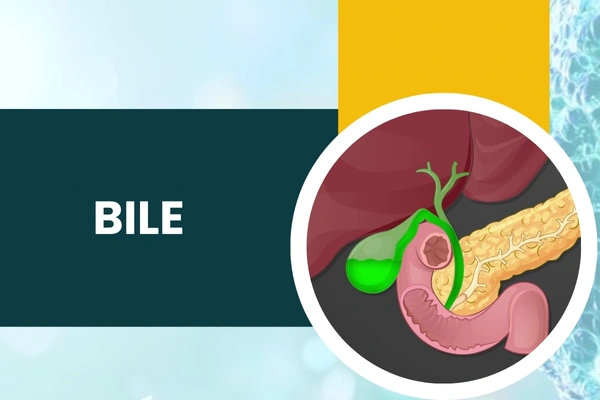 Bile in Hari Nagar