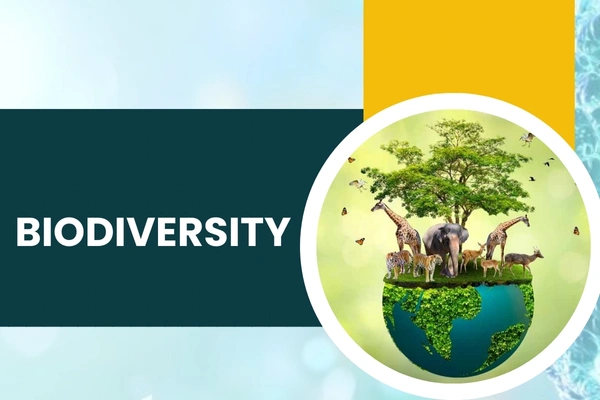 Biodiversity in Hari Nagar