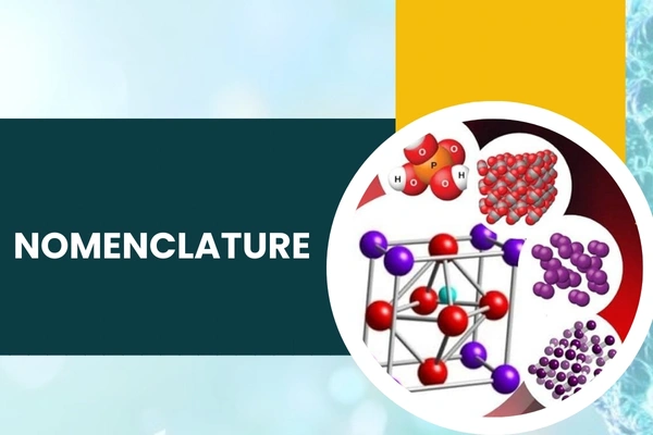 Nomenclature in Hari Nagar