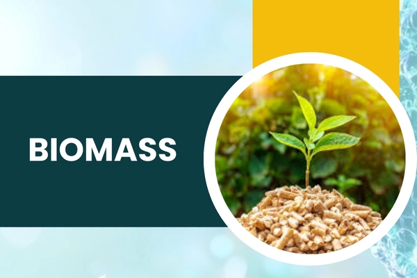 Biomass in Hari Nagar