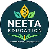 Neeta Education